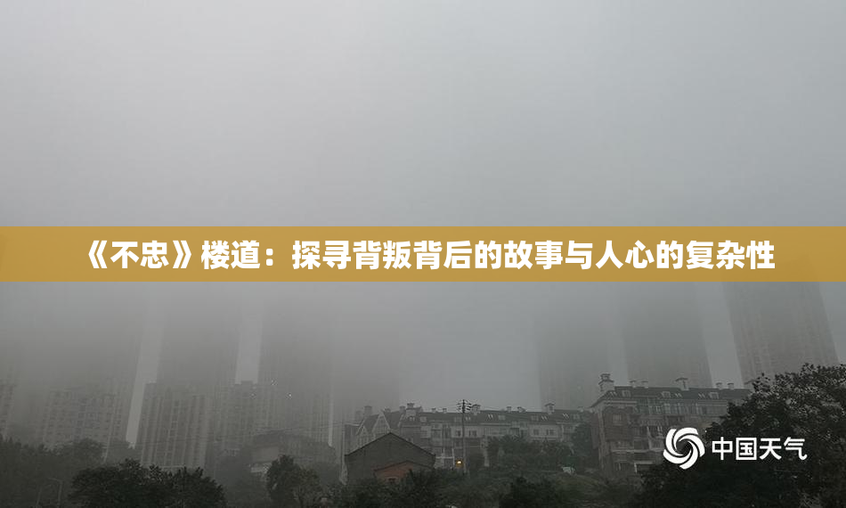 《不忠》楼道：探寻背叛背后的故事与人心的复杂性