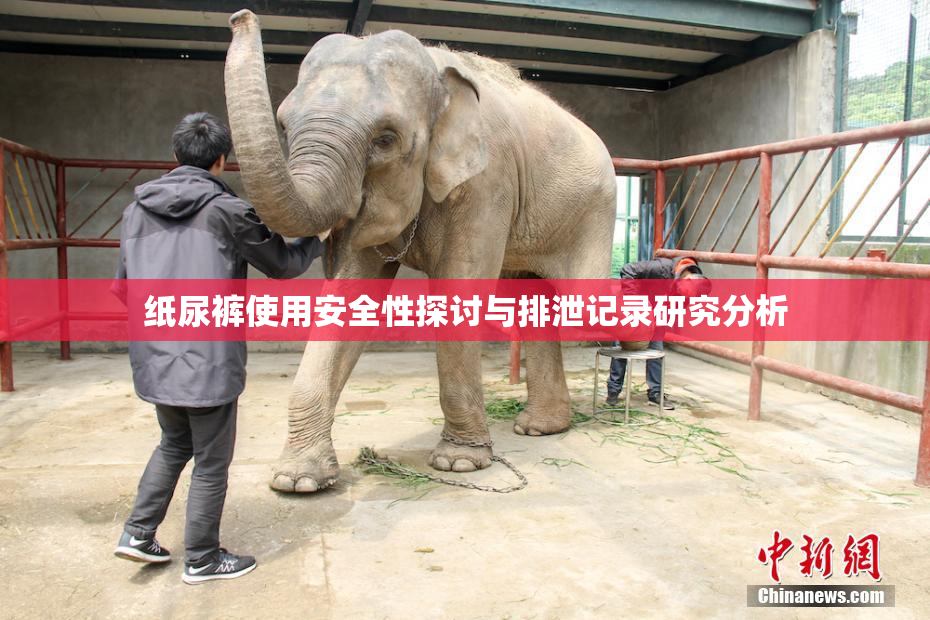 纸尿裤使用安全性探讨与排泄记录研究分析