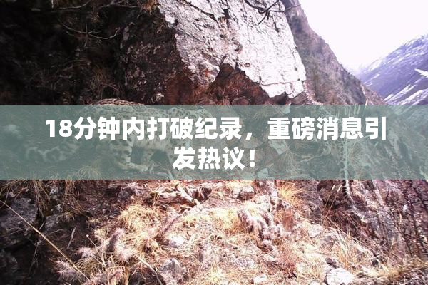 18分钟内打破纪录，重磅消息引发热议！