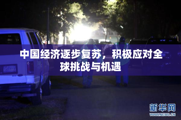 中国经济逐步复苏，积极应对全球挑战与机遇