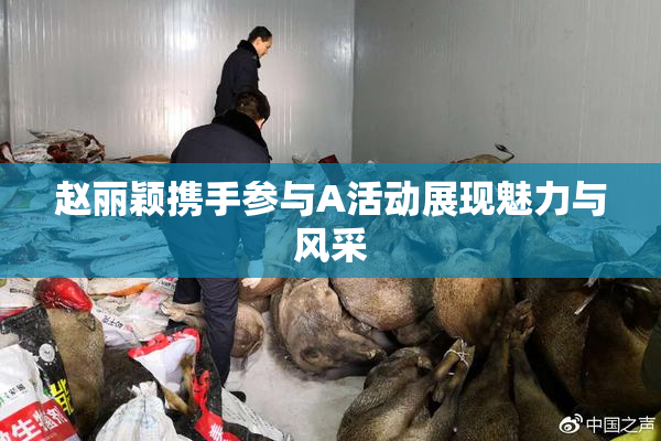 赵丽颖携手参与A活动展现魅力与风采