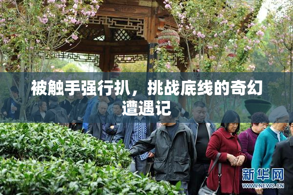 被触手强行扒，挑战底线的奇幻遭遇记