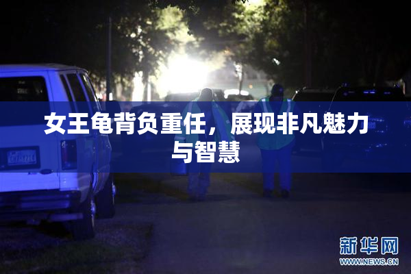 女王龟背负重任，展现非凡魅力与智慧