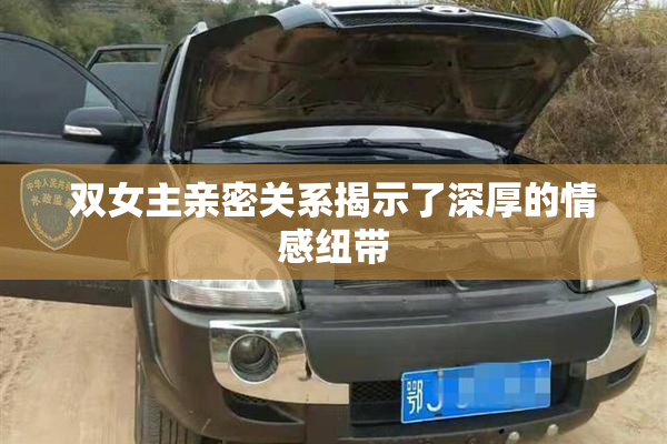 双女主亲密关系揭示了深厚的情感纽带