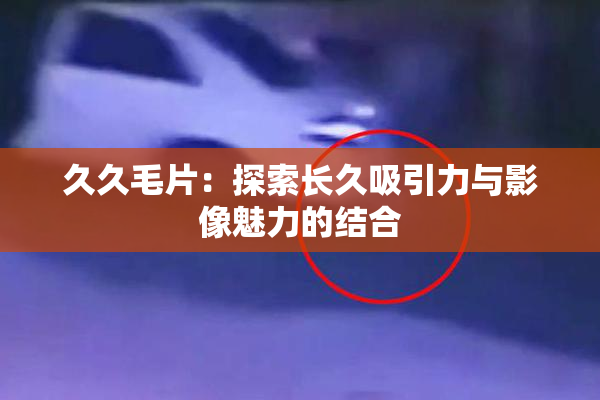 久久毛片：探索长久吸引力与影像魅力的结合