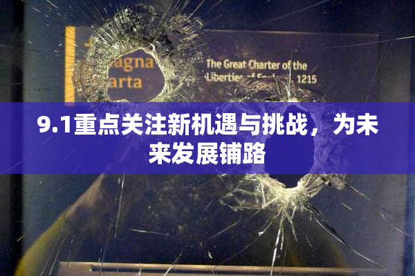 9.1重点关注新机遇与挑战，为未来发展铺路