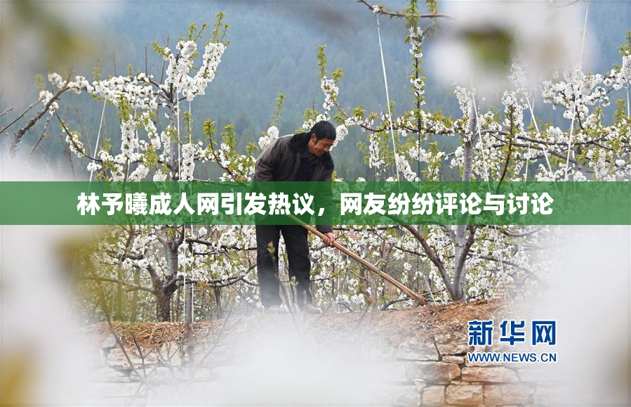 林予曦成人网引发热议，网友纷纷评论与讨论