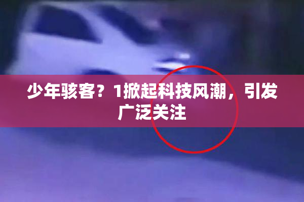 少年骇客？1掀起科技风潮，引发广泛关注