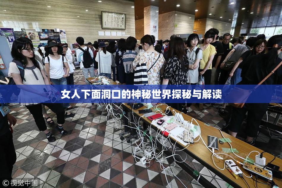 女人下面洞口的神秘世界探秘与解读