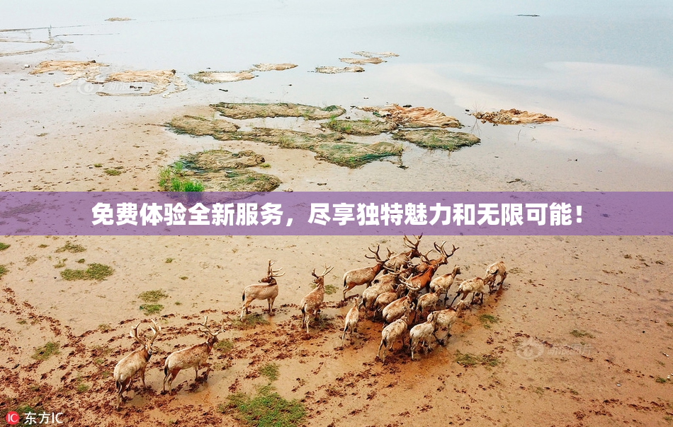 免费体验全新服务，尽享独特魅力和无限可能！