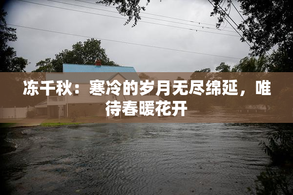 冻千秋：寒冷的岁月无尽绵延，唯待春暖花开