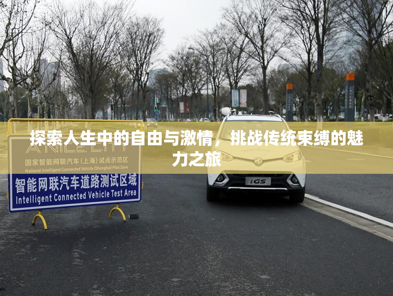 探索人生中的自由与激情，挑战传统束缚的魅力之旅