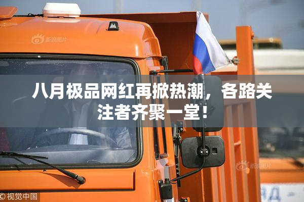 八月极品网红再掀热潮，各路关注者齐聚一堂！