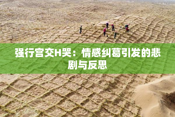 强行宫交H哭：情感纠葛引发的悲剧与反思