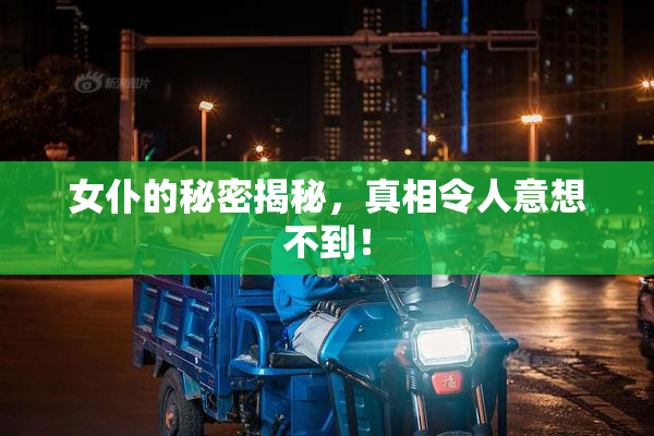女仆的秘密揭秘，真相令人意想不到！
