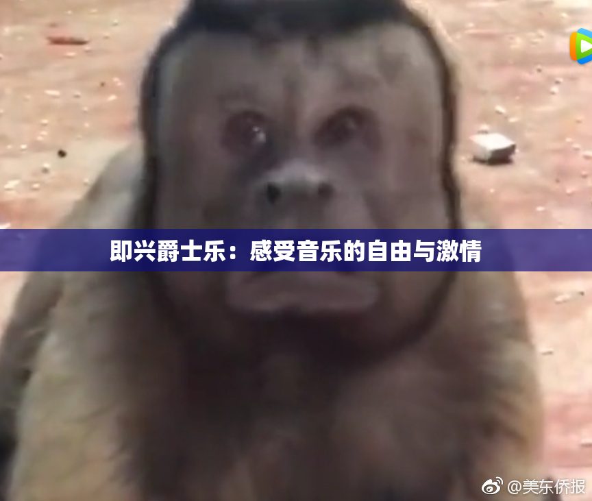 即兴爵士乐：感受音乐的自由与激情