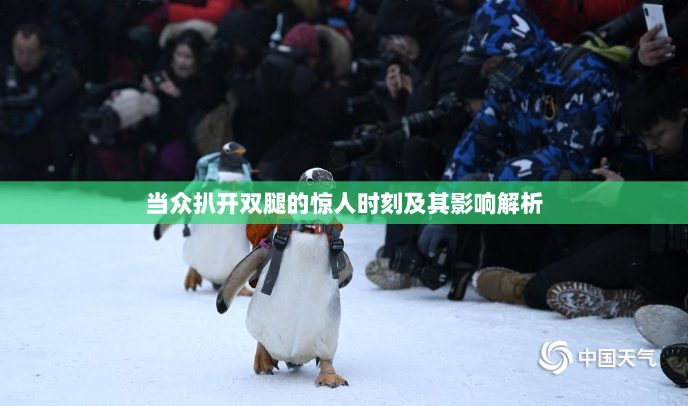 当众扒开双腿的惊人时刻及其影响解析