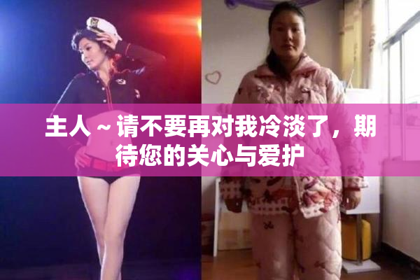 主人～请不要再对我冷淡了，期待您的关心与爱护