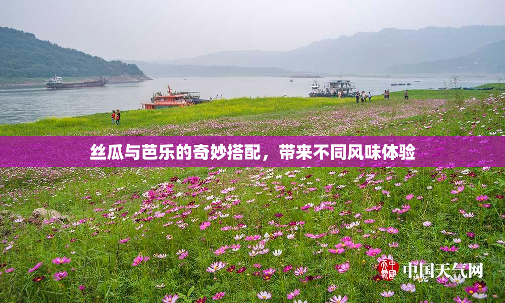丝瓜与芭乐的奇妙搭配，带来不同风味体验