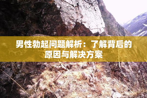 男性勃起问题解析：了解背后的原因与解决方案