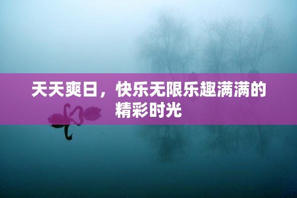天天爽日，快乐无限乐趣满满的精彩时光