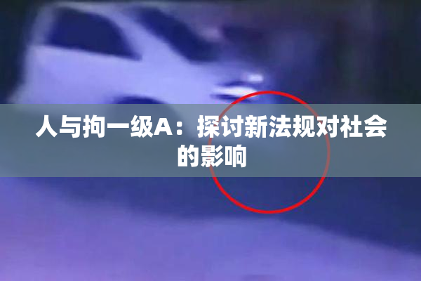 人与拘一级A：探讨新法规对社会的影响
