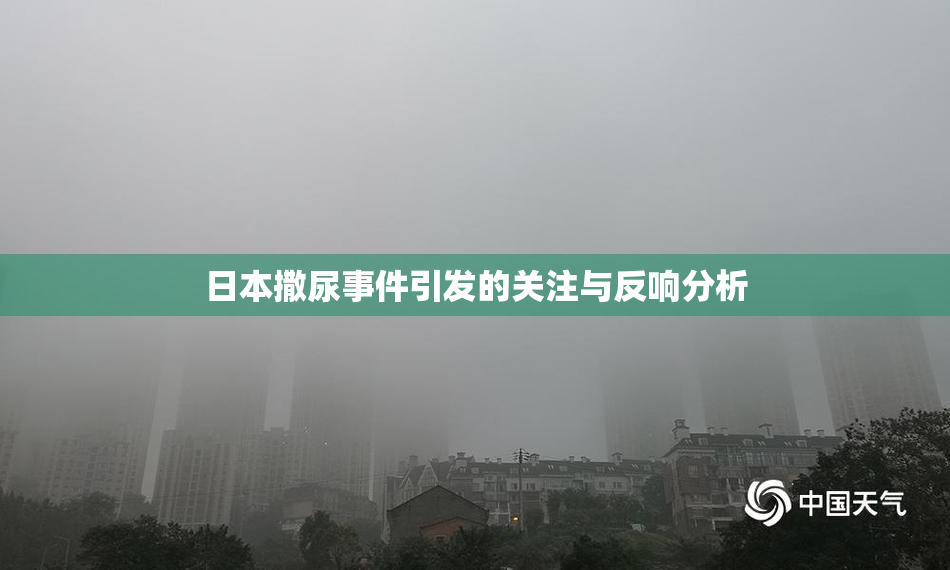 日本撒尿事件引发的关注与反响分析