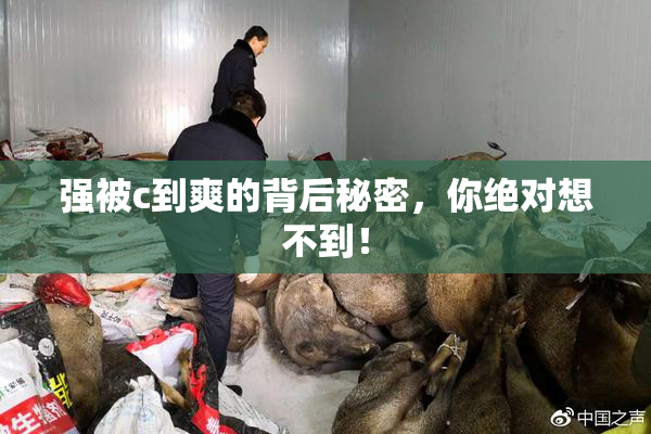 强被c到爽的背后秘密，你绝对想不到！