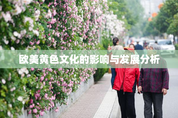 欧美黄色文化的影响与发展分析