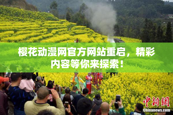 樱花动漫网官方网站重启，精彩内容等你来探索！