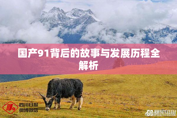 国产91背后的故事与发展历程全解析