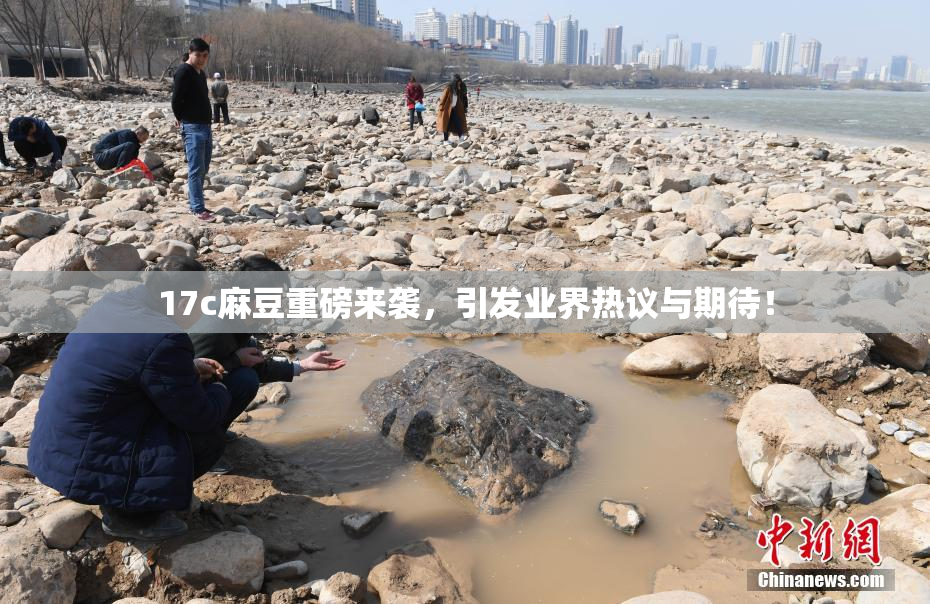 17c麻豆重磅来袭，引发业界热议与期待！
