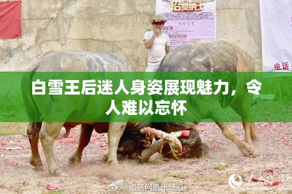 白雪王后迷人身姿展现魅力，令人难以忘怀