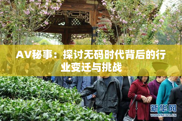 AV秘事：探讨无码时代背后的行业变迁与挑战
