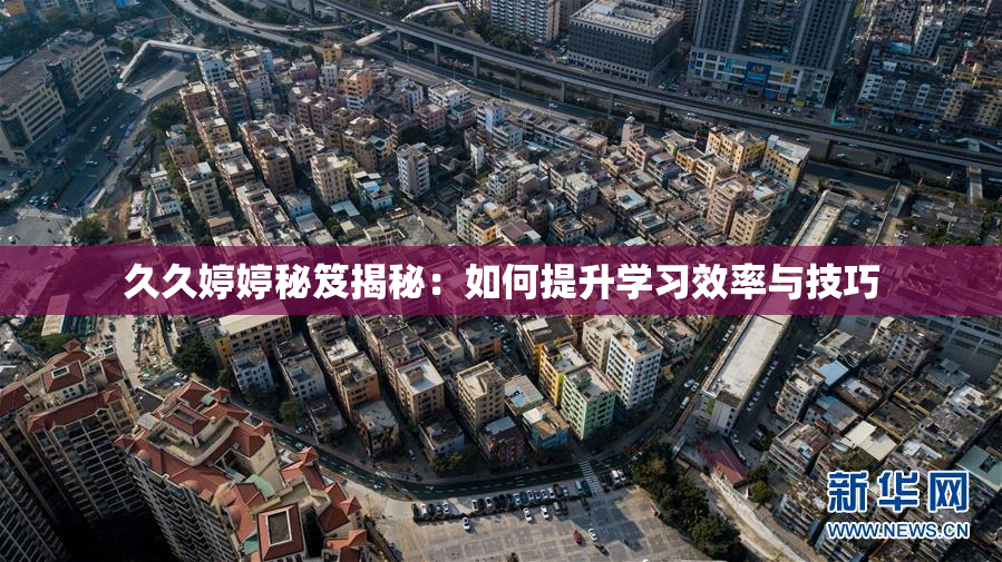 久久婷婷秘笈揭秘：如何提升学习效率与技巧