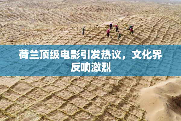 荷兰顶级电影引发热议，文化界反响激烈
