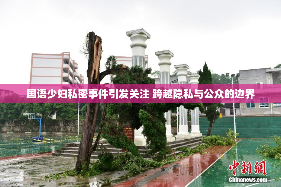 国语少妇私密事件引发关注 跨越隐私与公众的边界