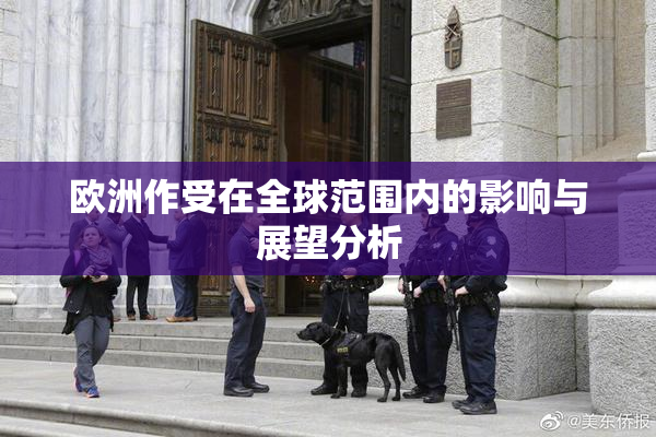 欧洲作受在全球范围内的影响与展望分析