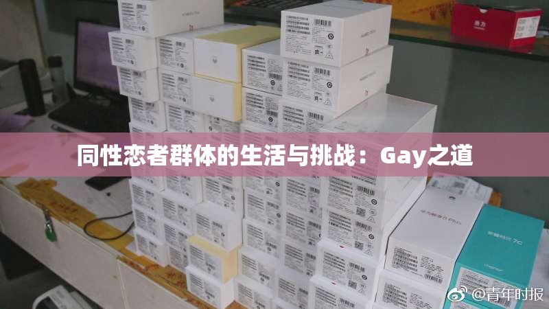 同性恋者群体的生活与挑战：Gay之道