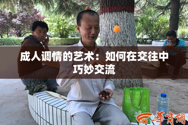 成人调情的艺术：如何在交往中巧妙交流