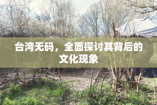 台湾无码，全面探讨其背后的文化现象