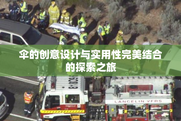 伞的创意设计与实用性完美结合的探索之旅