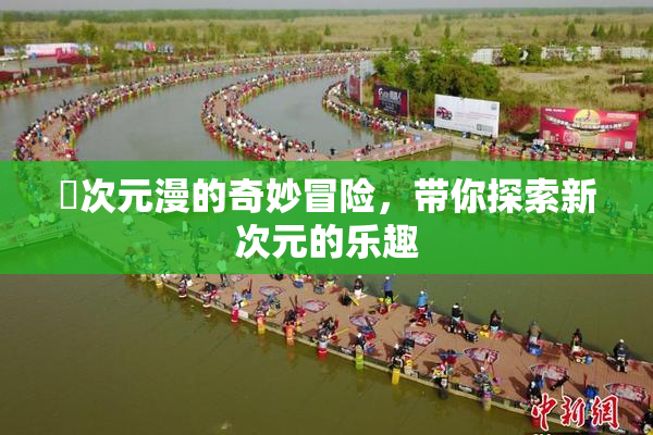 囧次元漫的奇妙冒险，带你探索新次元的乐趣