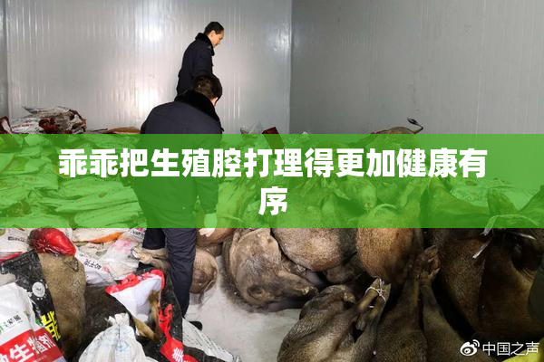 乖乖把生殖腔打理得更加健康有序