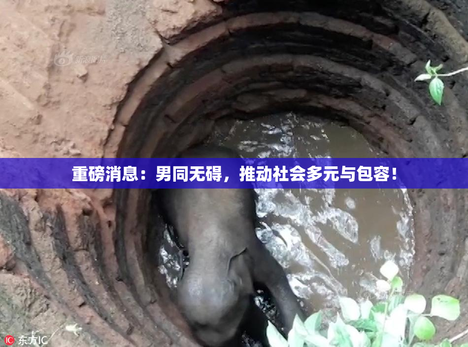 重磅消息：男同无碍，推动社会多元与包容！