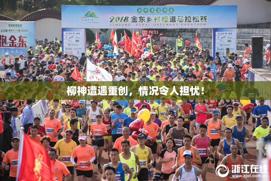 柳神遭遇重创，情况令人担忧！