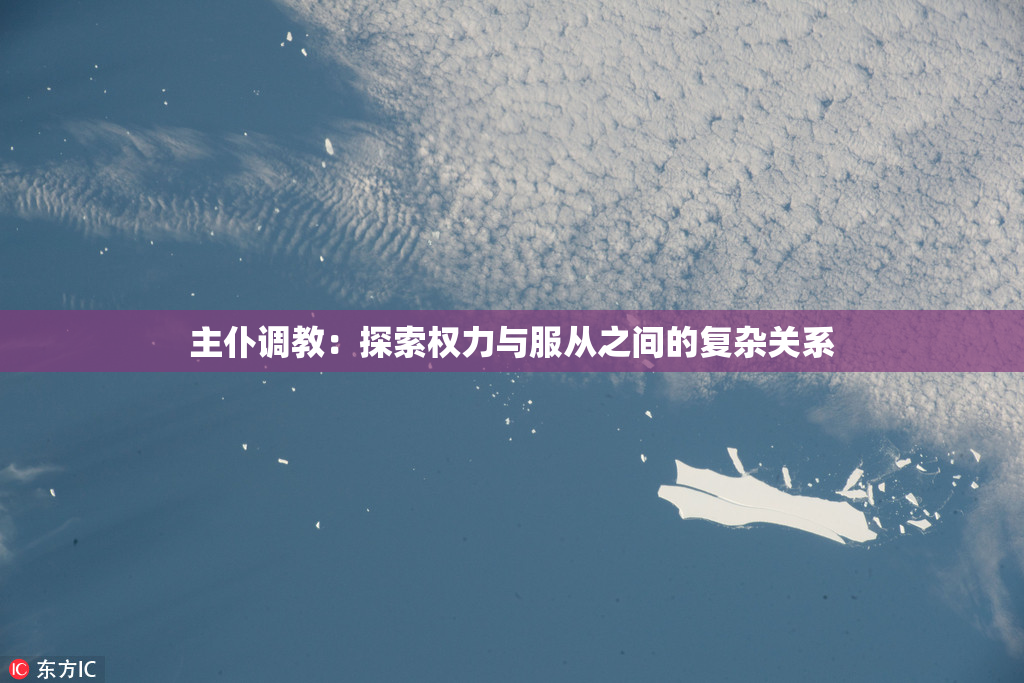 主仆调教：探索权力与服从之间的复杂关系