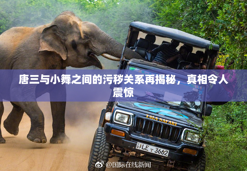 唐三与小舞之间的污秽关系再揭秘，真相令人震惊