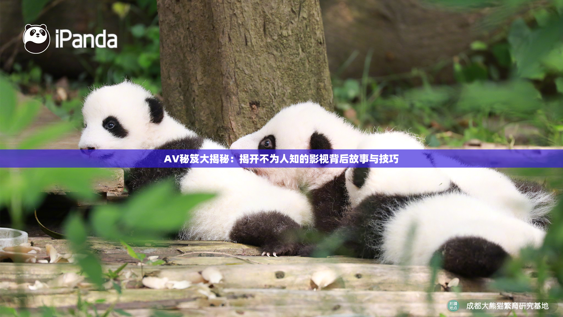 AV秘笈大揭秘：揭开不为人知的影视背后故事与技巧