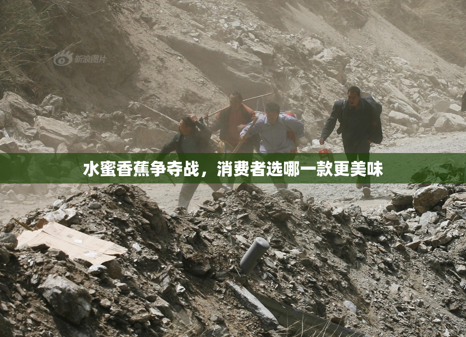 水蜜香蕉争夺战，消费者选哪一款更美味